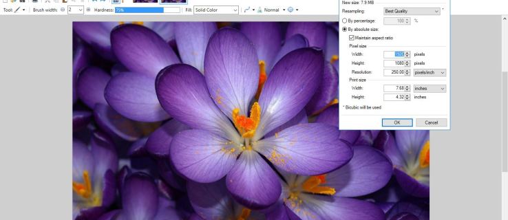 Paint.NET으로 기존 이미지의 해상도를 높이는 방법